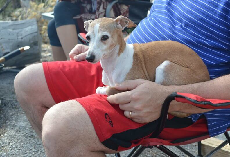 Even Pippi had fun!
